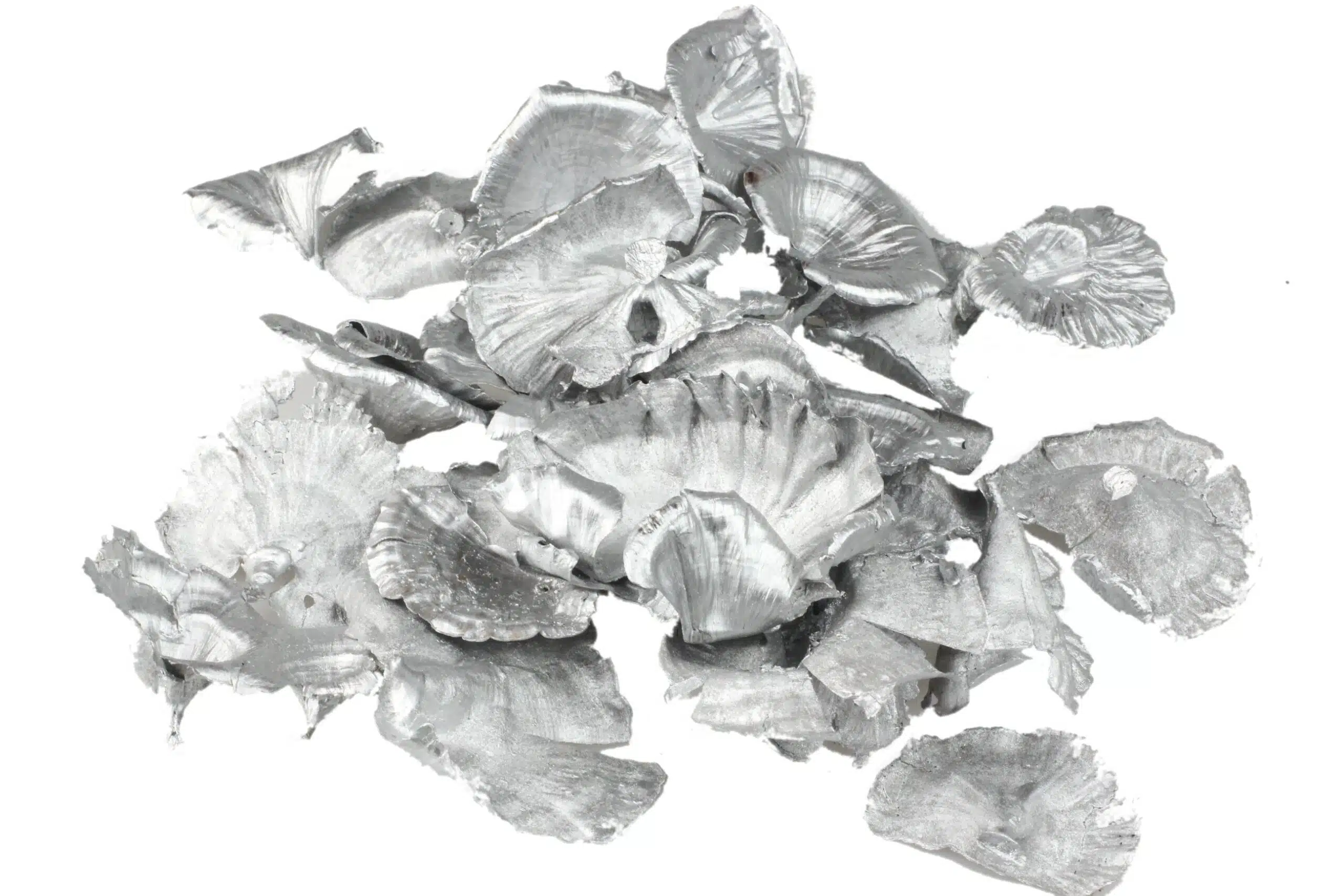 Grzyby suszone 50g srebrne, malowane