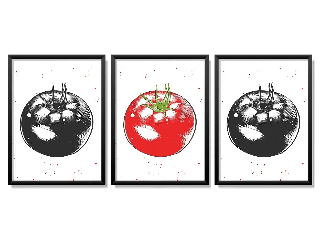 Obrazy w Drewnianej Ramie 90x40cm Tomato a Tegoniema