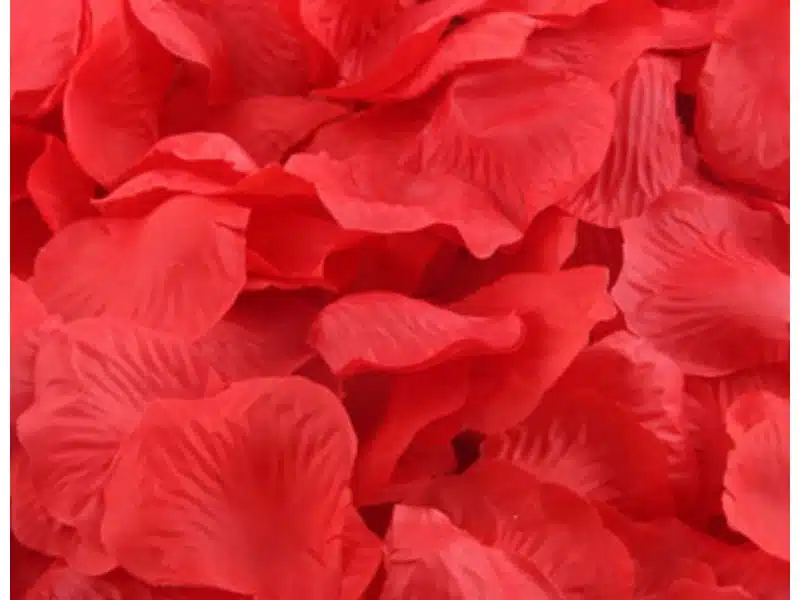 Płatki róż dekoracja w opakowaniu Czerwone