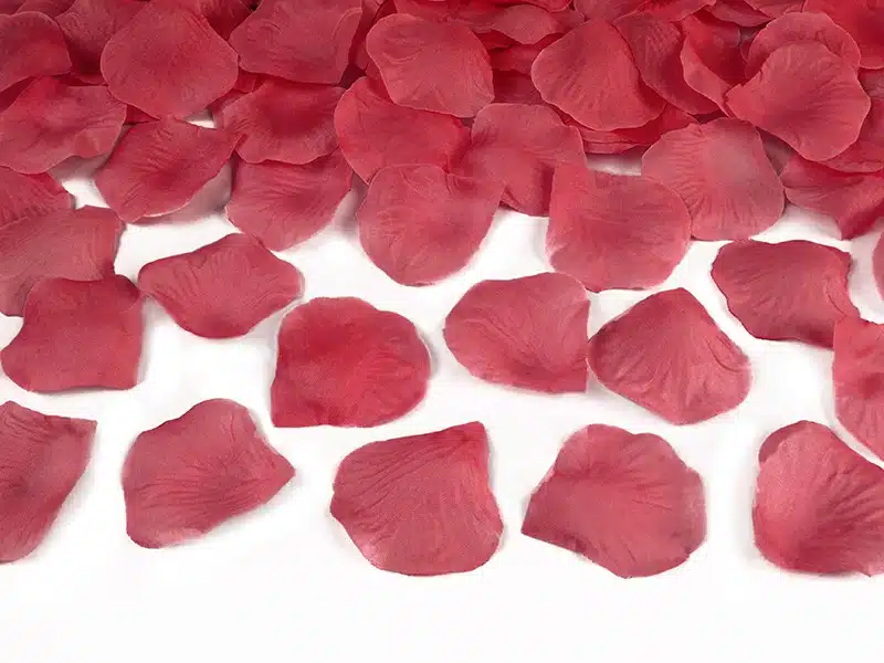 Wystrzałowe konfetti 80cm płatki róż bordowe